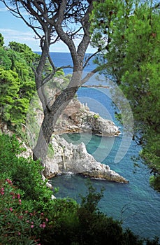 Adriatic coast in Dubrovnik photo