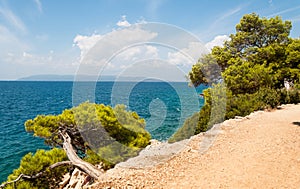 Adriatic coastline landscape