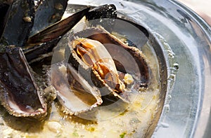 Adriatic mussels