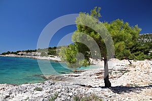 Adriatic Sea beach