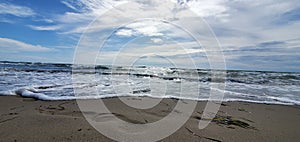Adriatic sea  beach fish shells