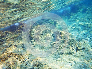 Adriatic sea bottom