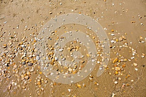 Adriatic Sea coast view. Seashore of Italy, sandy beach and wave, Summer background.