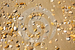 Adriatic Sea coast view. Seashore of Italy, sandy beach and wave, Summer background.