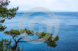 Adriatic sea in Croatia, Makarska town.