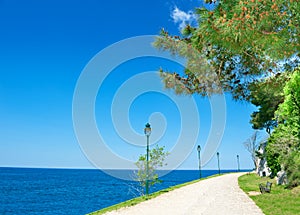 Adriatic sea shore of Rovinj, Croatia