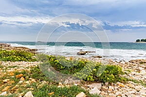 Adriatic sea view at Rovinj, popular touristic destination of Croatian coast