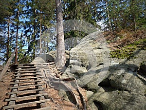 The Adrspach-Teplice Rocks are an unusual set of sandstone formations covering 17 km2 in northeastern Bohemia, Czech Republic.