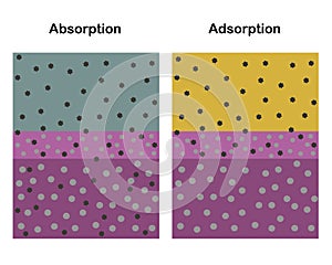 Adsorption and Absorption.