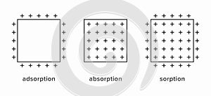 Adsorption Absorption and Sorption physical phenomenon