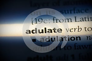 Adulate
