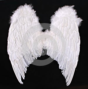 Adult Angel Wings Photography Prop