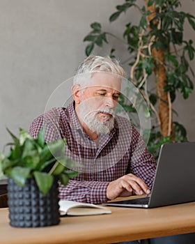 adult business man with gray hair is working at a laptop in his office. career finance and marketing, senior executive