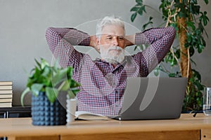 adult business man with gray hair is working at a laptop in his office. career finance and marketing, senior executive