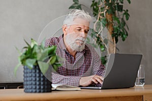 adult business man with gray hair is working at a laptop in his office. career finance and marketing, senior executive