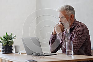 adult business man with gray hair is working at a laptop in his office. career finance and marketing, senior executive