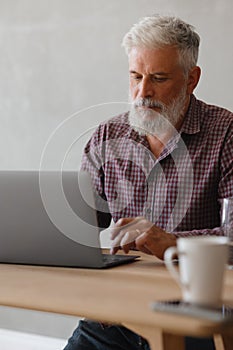 adult business man with gray hair is working at a laptop in his office. career finance and marketing, senior executive