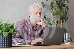 adult business man with gray hair is working at a laptop in his office. career finance and marketing, senior executive