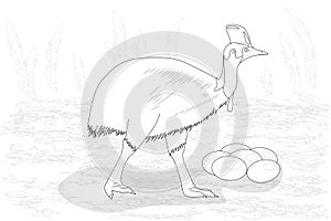 Adult cassowary with eggs, black and white vector illustration