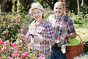 Adult cheerful couple engaged in gardening
