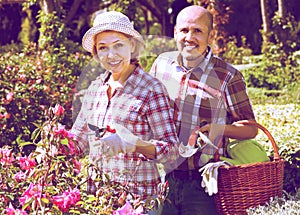 Adult cheerful couple engaged in gardening