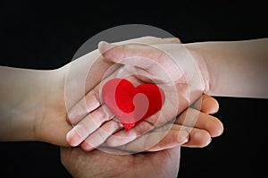 Adult and child hands holding red heart, health care, donate and family insurance concept,world heart day, world health day, CSR c