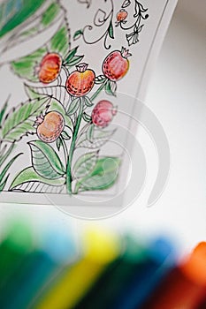 Adult coloring book. Art and Color Therapy.