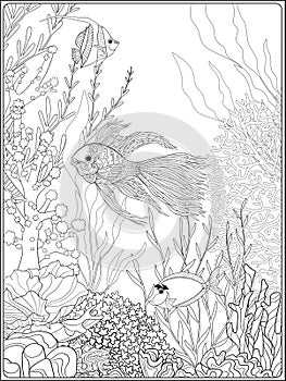 Adult coloring book. Coloring page with underwater world coral reef.