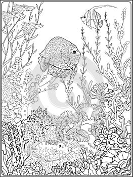 Adult coloring book. Coloring page with underwater world coral reef.