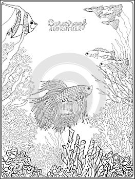 Adult coloring book. Coloring page with underwater world coral reef.