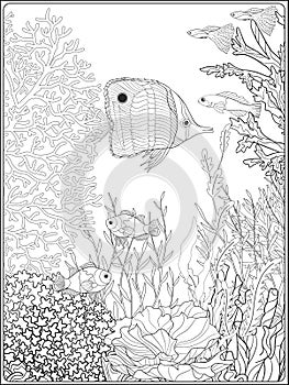 Adult coloring book. Coloring page with underwater world coral reef.