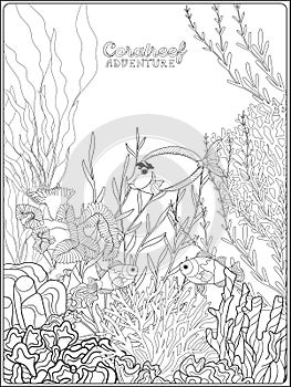 Adult coloring book. Coloring page with underwater world coral reef.