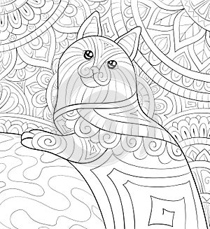 Adult coloring book,page a cute cat on the abstract background with ornaments image for relaxing.Zen art style illustration