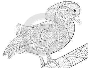 Adult coloring book,page a cute duck on the brunch image for relaxing.Zen art style illustration