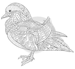 Adult coloring book,page a cute duck for relaxing.Zen art style illustration. photo