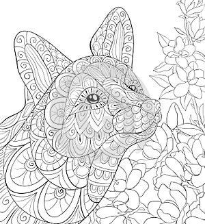 Adult coloring book,page a cute fox on the floral background for relaxing.Zen art style illustration.