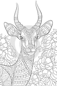 Adult coloring book,page a cute head of antilope image for relaxing. photo