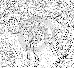 Adult coloring book,page a cute horse image for relaxing.