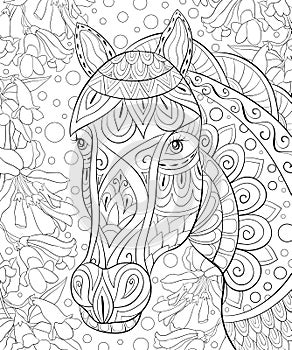 Adult coloring book,page a cute horse,image for relaxing.