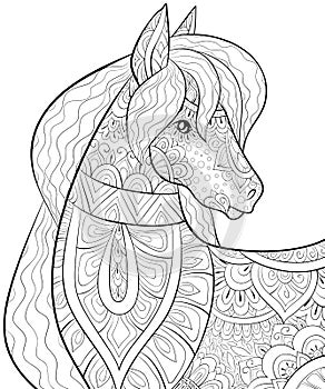Adult coloring book,page a cute horse,image for relaxing.