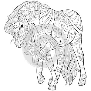 Adult coloring book,page a cute horse,image for relaxing.