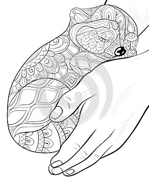 Adult coloring book,page a cute ratton for relaxing.Zen art style illustration. photo