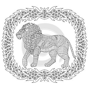 Adult coloring page for antistress with lion.