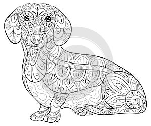 Adult coloring page a cute dachshund for relaxing.Zen art style illustration.