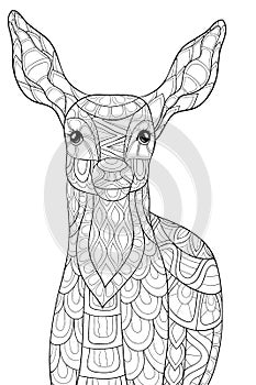 Adult coloring page deer