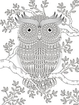 Adult coloring page with gorgeous owl