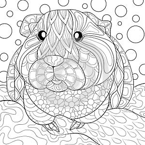 Adult coloring page Guinea pig