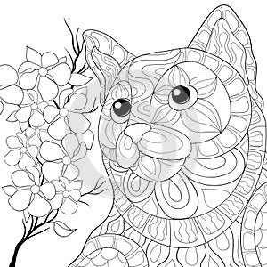 Adult coloring page horse