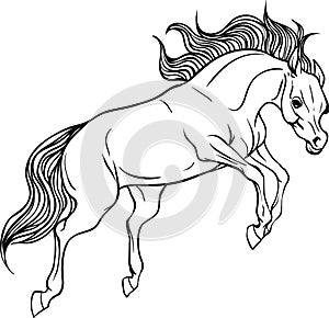 Adult coloring page horse.