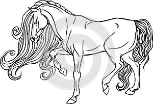 Adult coloring page horse.